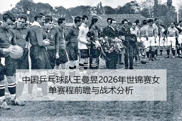 zhong-guo-ping-pang-qiu-dui-wang-man-yu-nian-shi-jin-sai-nv-dan-sai-cheng-qian-zhan-yu-zhan-shu-fen-xi-2-576.jpg
