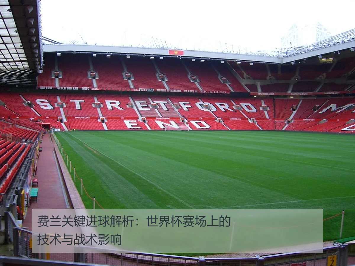 费兰关键进球解析：世界杯赛场上的技术与战术影响