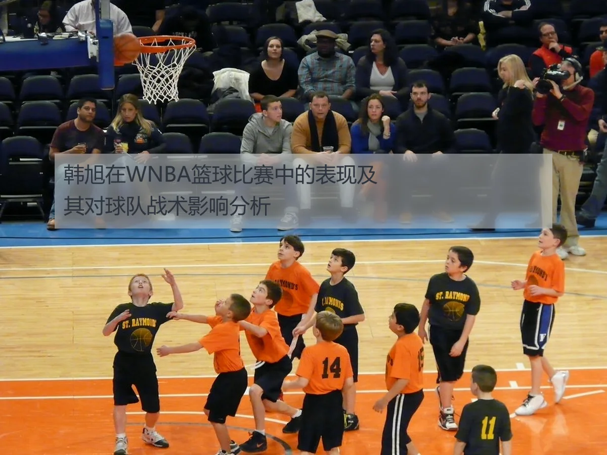 韩旭在WNBA篮球比赛中的表现及其对球队战术影响分析
